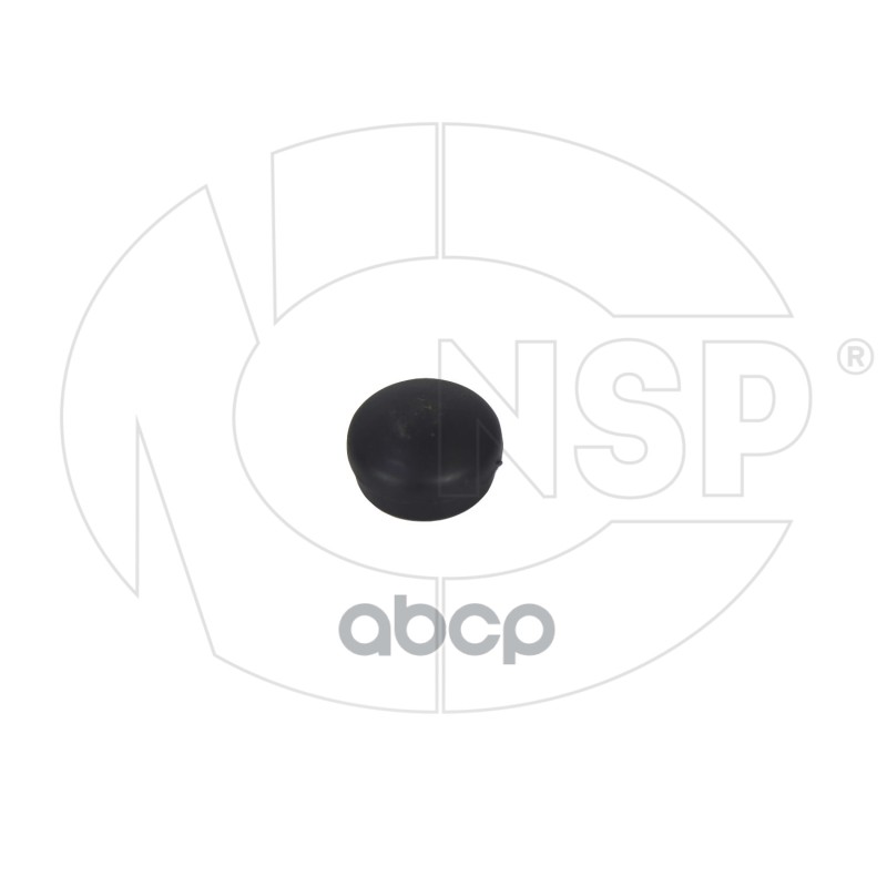 Колпачок Поводка Стеклоочистителя Skoda Rapid Nsp Nsp081j0955205a9b9 NSP арт NSP081J09552 390₽