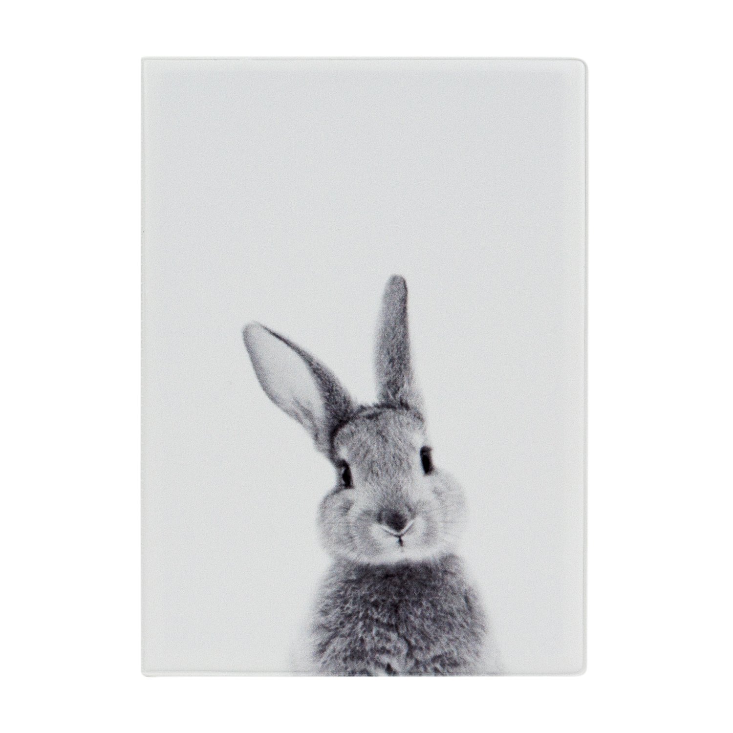 Обложка для автодокументов унисекс Кролик разноцветная Kawaii Factory. Цвет: разноцветный