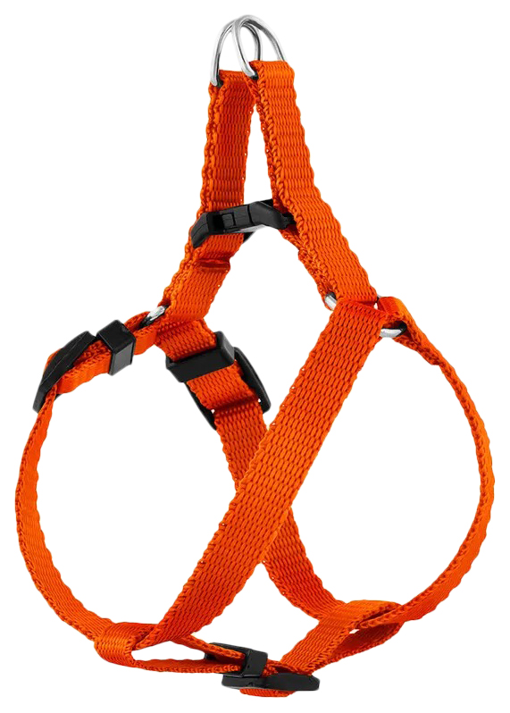 

Шлейка Saival Classic Колор быстросъемная размер S 12 мм, оранжевая