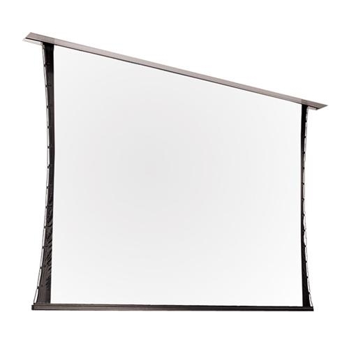 

Draper Access/V HDTV (9:16) 338/133" 165x295 HDG ebd 12"