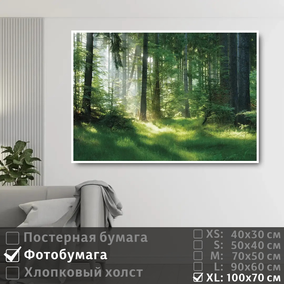 

Постер на фотобумаге ПолиЦентр Солнечные лучи на рассвете в лесу 100х70 см, СолнечныеЛучиНаРассветеВЛесу1
