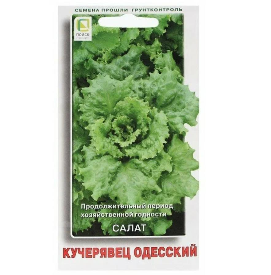 

Салат Кучерявец Одесский 1гр. (Поиск) (ув.разм.б/п)