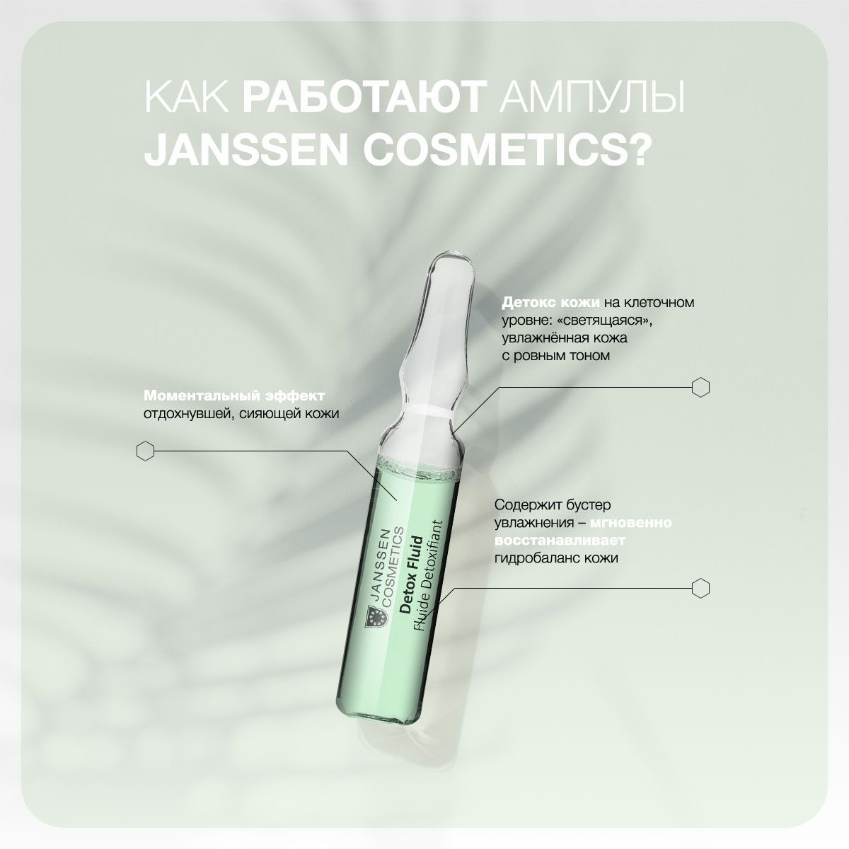 Детокс-сыворотка в ампулах Janssen Cosmetics Detox Fluid 1х2 мл janssen cosmetics eye flash fluid сыворотка увлажняющая и восстанавливающая в ампулах для контура глаз 3х1 5 мл