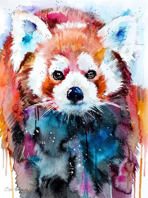 

Картина по номерам Paintboy (Premium) Красная панда, Красная панда