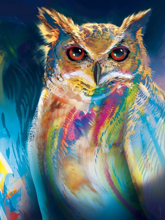 

Картина по номерам Paintboy (Premium) Цветная сова