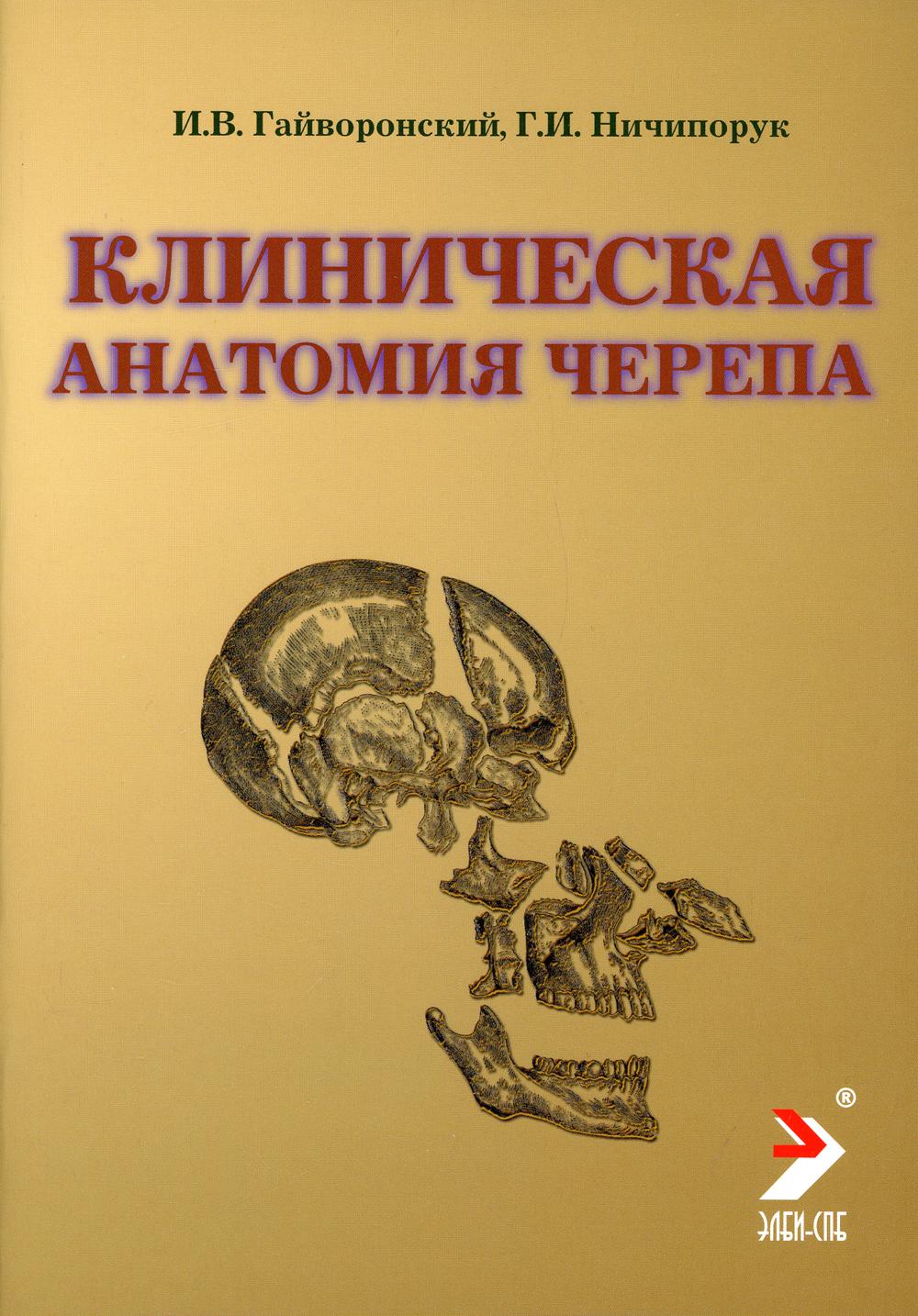 

Клиническая анатомия черепа 12-е изд., перераб. и доп.