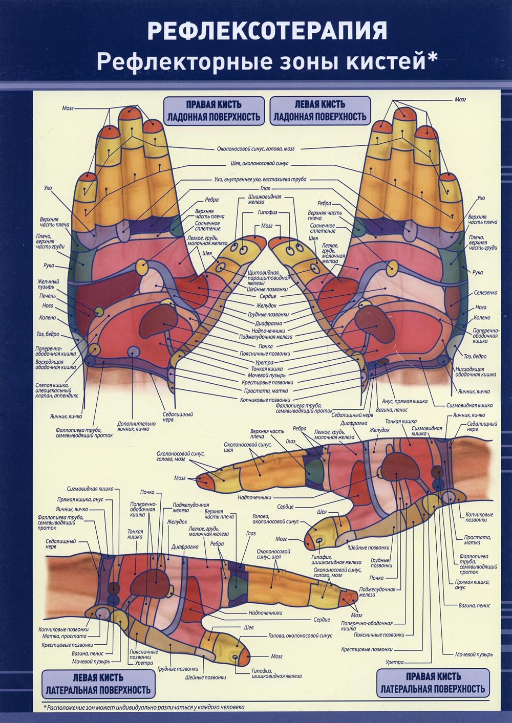 фото Книга рефлексотерапия. рефлекторные зоны кистей наука и техника