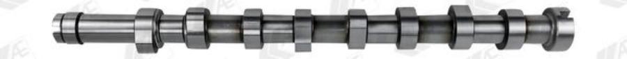 

Распредвал Двс AE CAM969