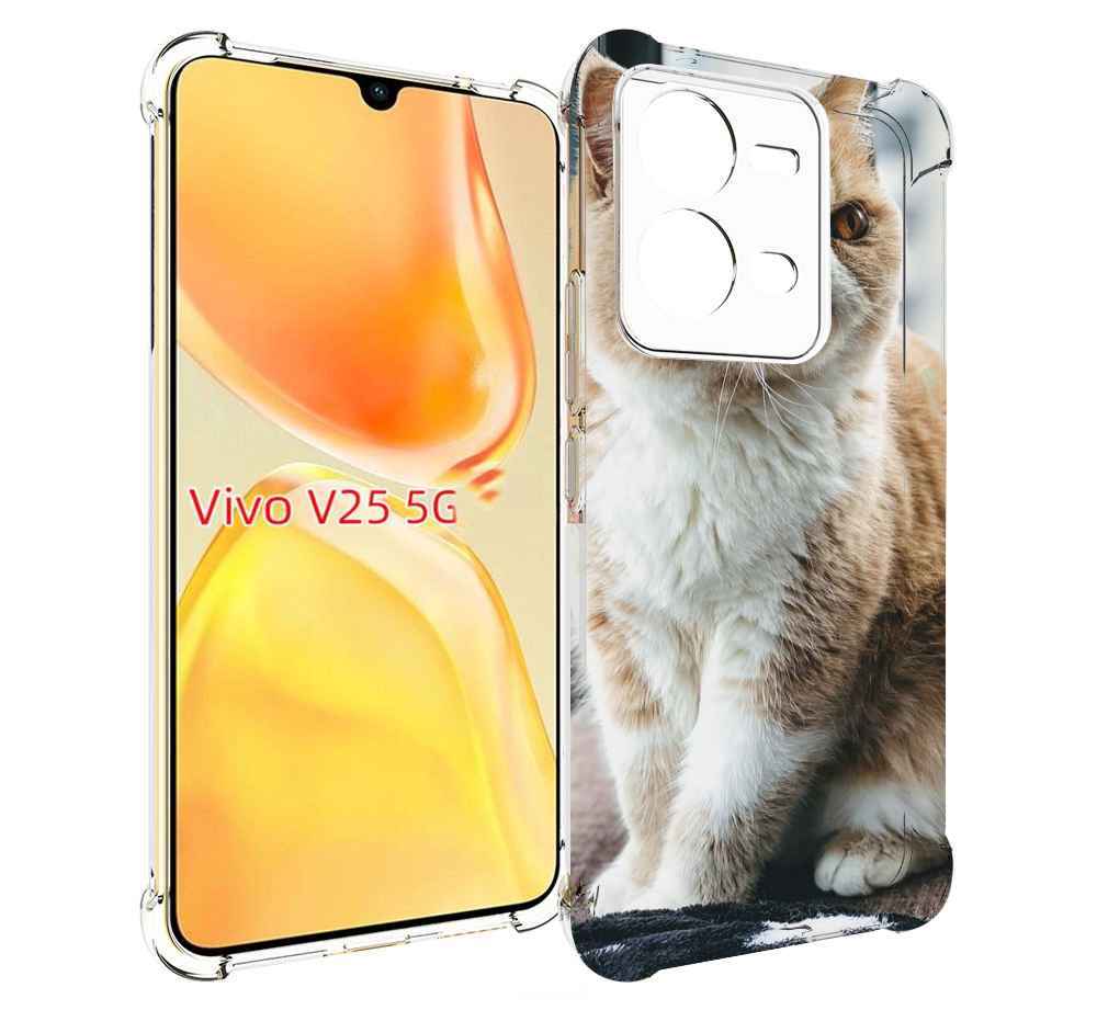 Чехол MyPads кошка экзот для Vivo V25 5G / V25e