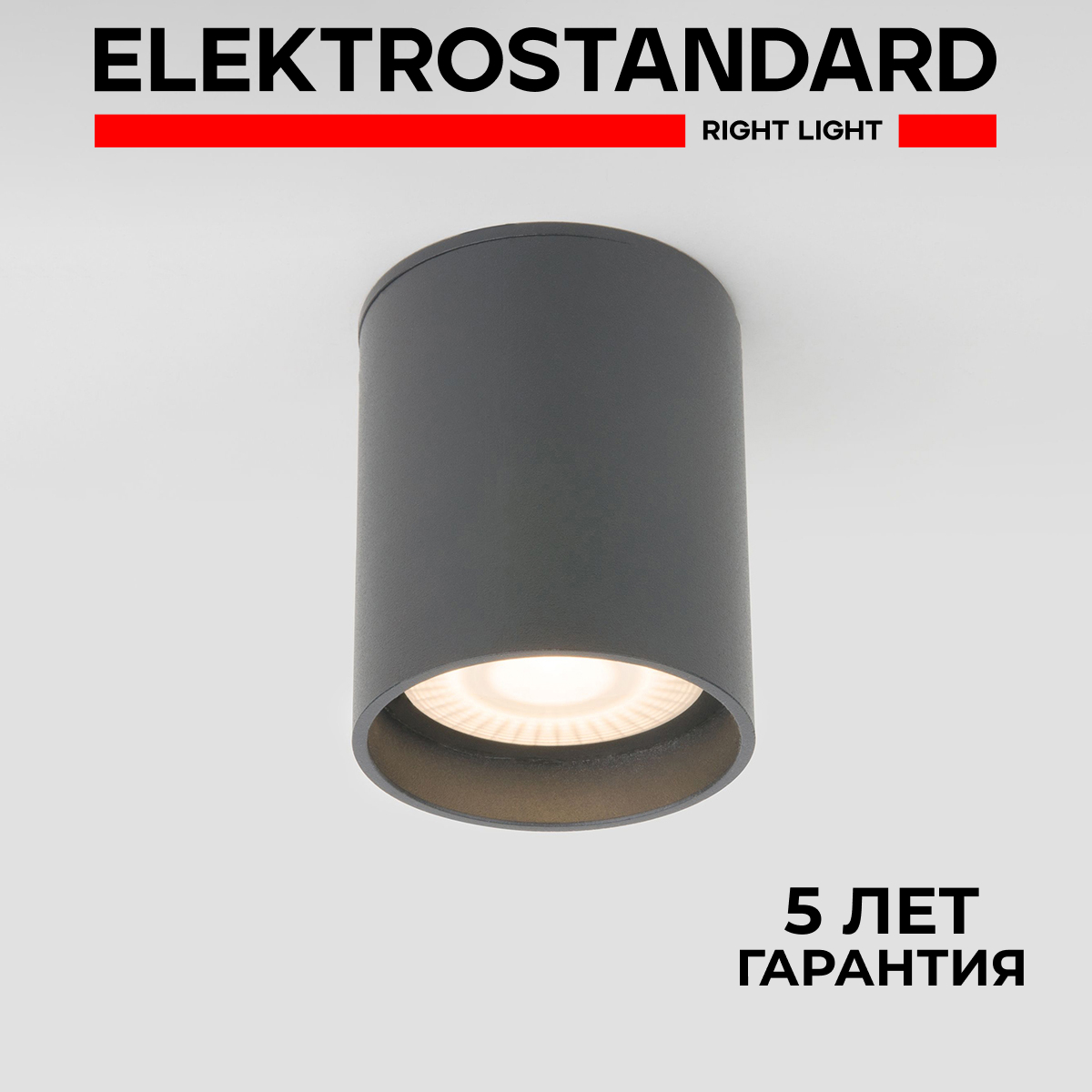 

Влагозащищенный точечный светильник Elektrostandard Light LED 35130/H 10W 4000К IP65 серый, 35130/H