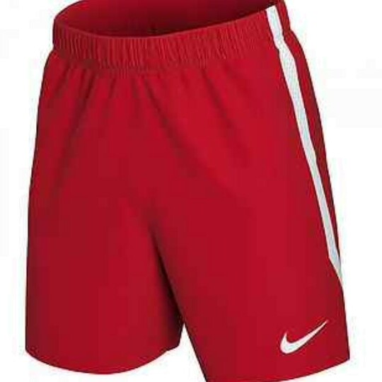 Шорты мужские Nike DN4279-657 красные M