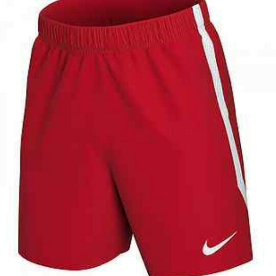 Шорты мужские Nike DN4279-657 красные S