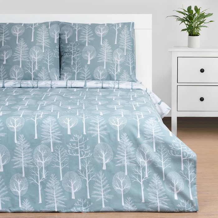 

Постельное бельё Этель дуэт Forest 143x215 см - 2 шт, 220x240 см, 70x70 см -2 шт