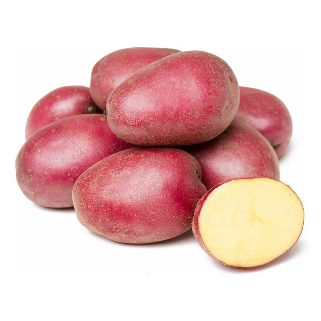 Картофель палац описание сорта. Картофель Краса. Красная картошка. Картофель красный мытый. Картофель красный молодой.