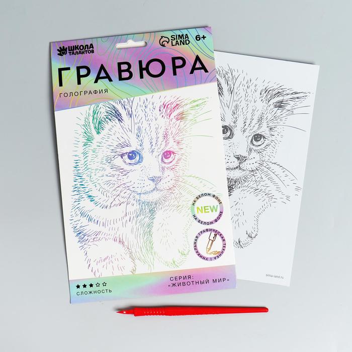 

Гравюра Школа талантов Пушистый котёнок A5 с металлическим эффектом голография