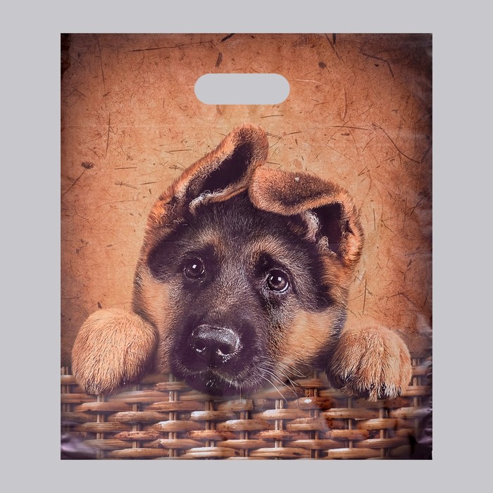 

Пакет Рекс, полиэтиленовый с вырубной ручкой, 40х47 см, 45 мкм (50 шт)