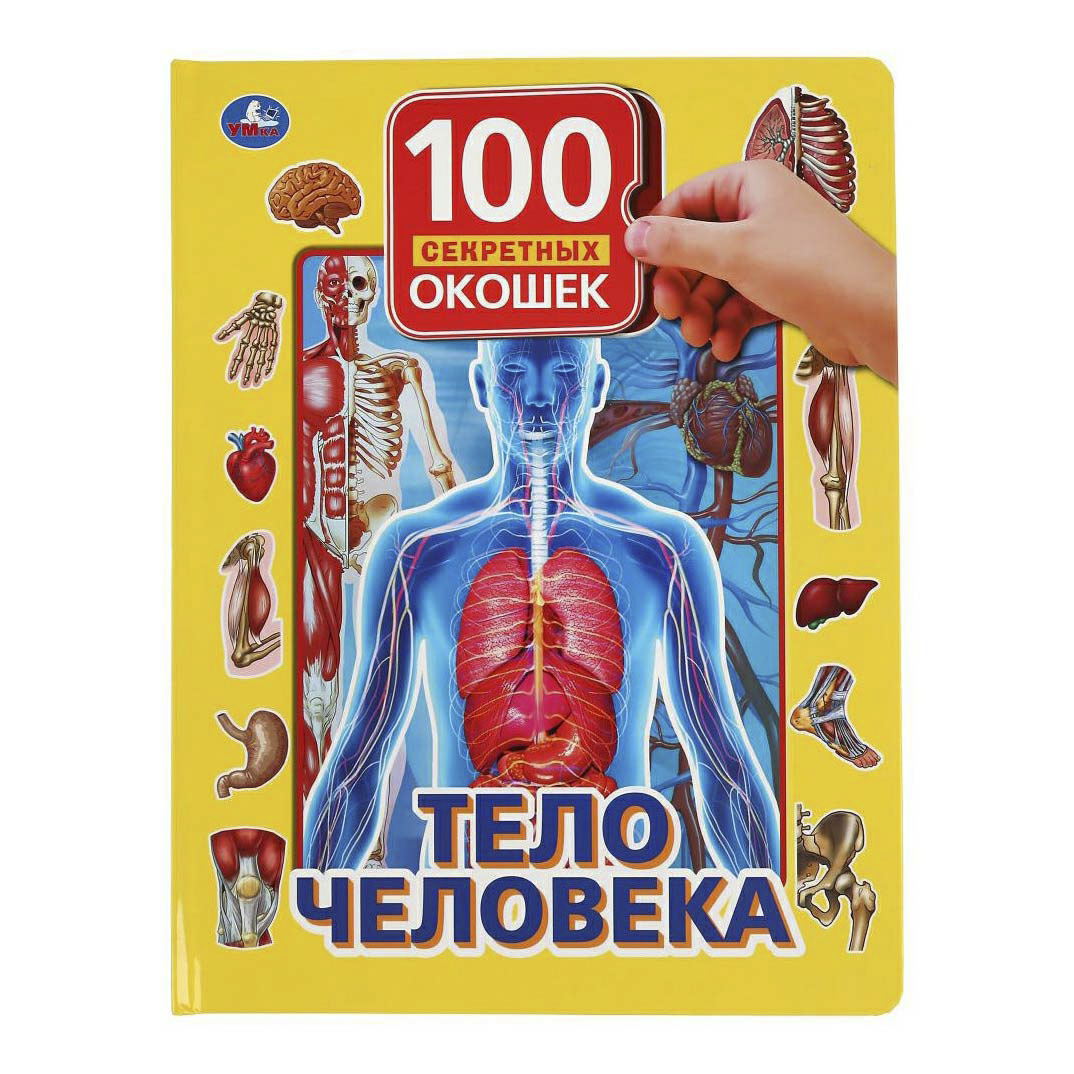 

Тело человека. 100 окошек для малышей