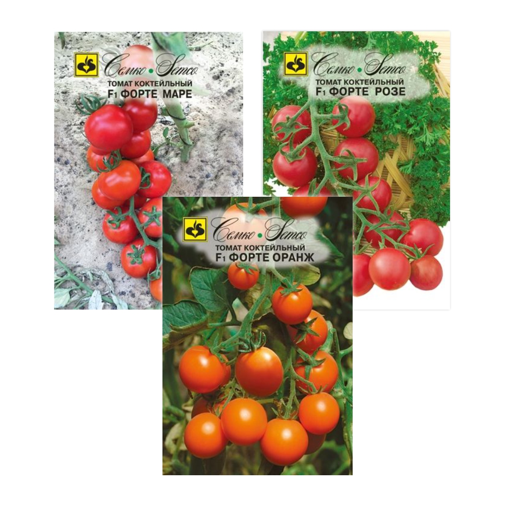 Семена томат Форте маре F1 форте розе F1 форте оранж F1 Семко 23-01274