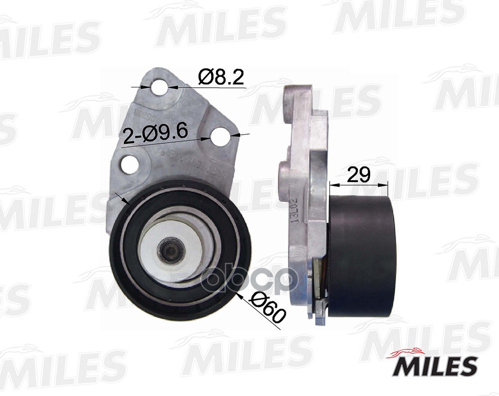 

Ролик Ремня Грм MILES ag02000