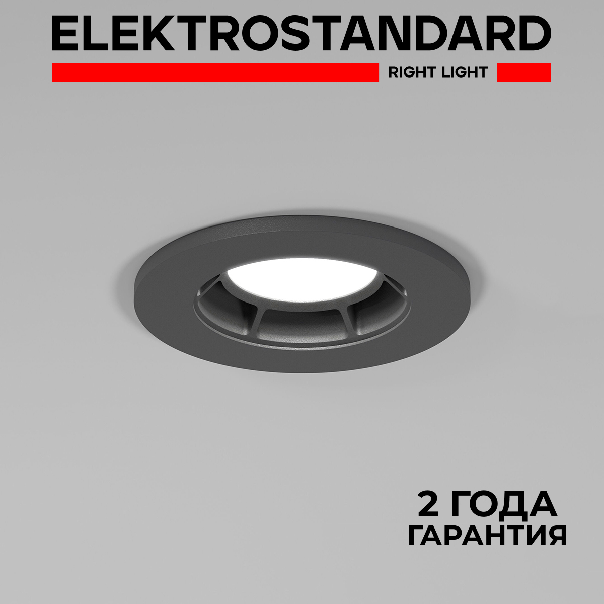 

Встраиваемый точечный потолочный светильник Elektrostandard Asimo 25009/01 GU10 графит