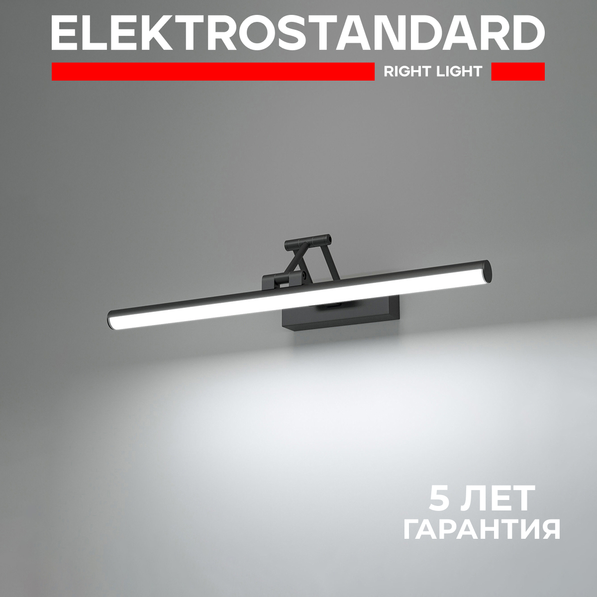 Настенный светодиодный светильник Elektrostandard Monza 40128/LED черный 12 Вт 4000 К