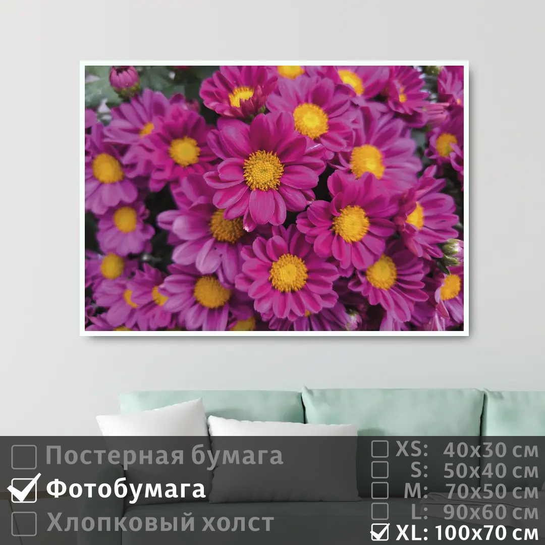 

Постер на фотобумаге ПолиЦентр Розовые цветы 100х70 см, РозовыеЦветы1