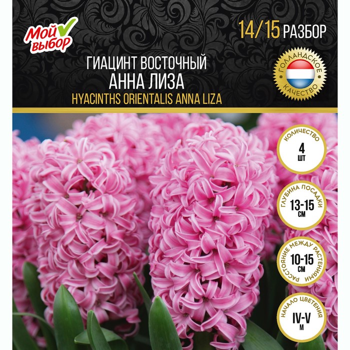 

Гиацинт восточный Анна Лиза, р-р 14/15, 4 шт
