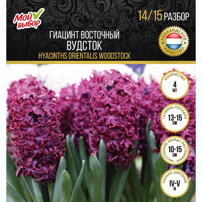 

Гиацинт восточный Вудсток, р-р 14/15, 4 шт