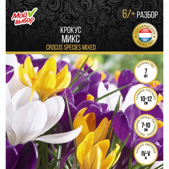 

Крокус Микс, р-р 6/+, 7 шт