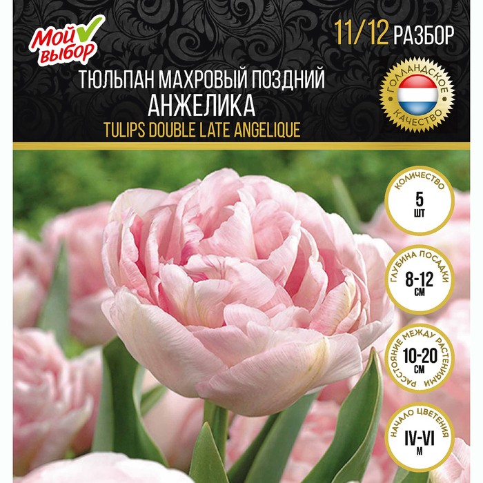 

Тюльпан махровый поздний Анжелика, р-р 11/12, 5 шт