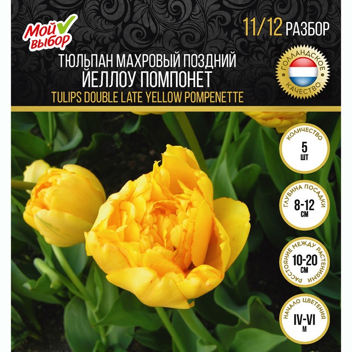 

Тюльпан махровый поздний Йеллоу Помпонет, р-р 11/12, 5 шт
