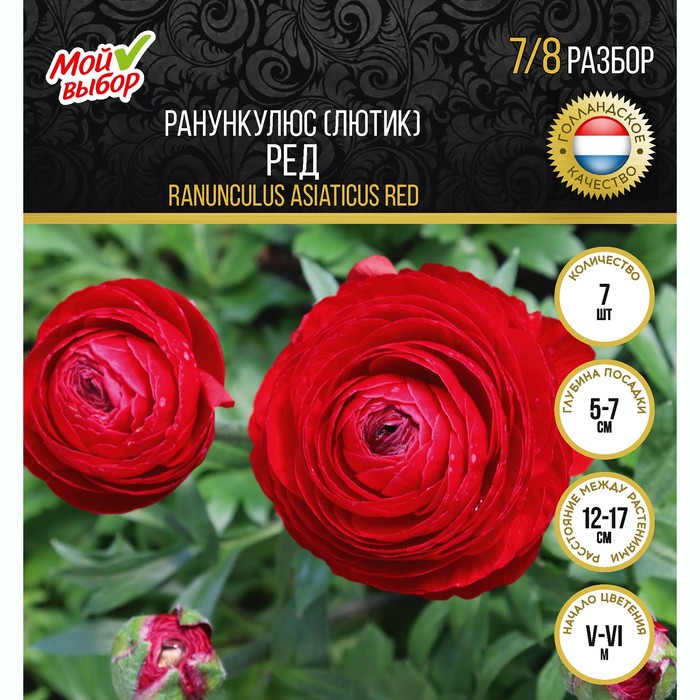 

Ранункулюс (Лютик) Ред, р-р 7/8, 7 шт