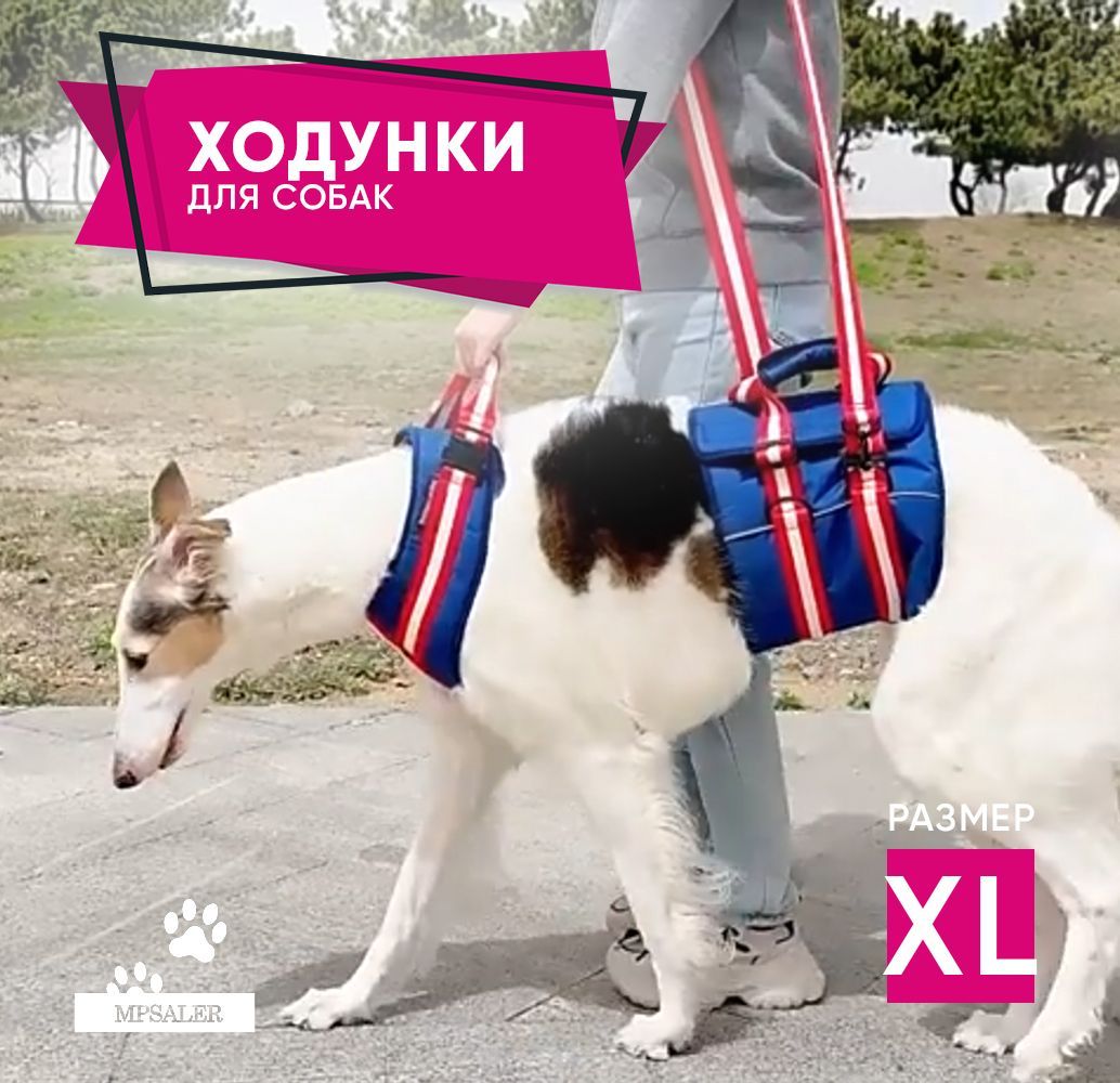 Ходунки для собак MPSALER, размер XL, синий, нейлон