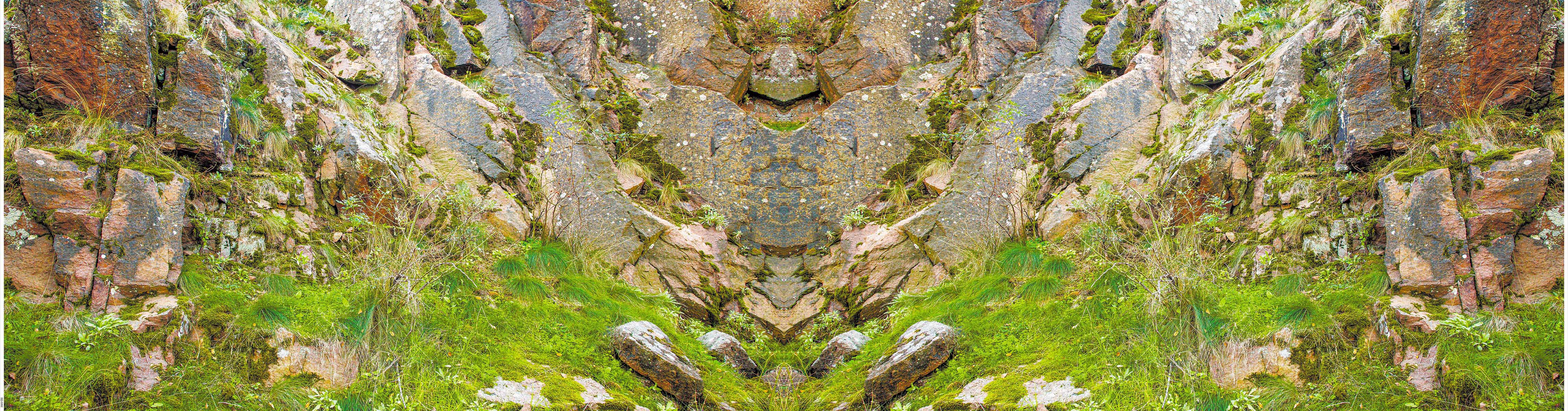 

Фотосетка для забора ЗД-0262, Зеленый;коричневый