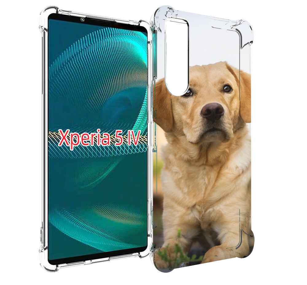 

Чехол MyPads лабрадор ретривер для Sony Xperia 5 IV (5-4), Прозрачный, Tocco