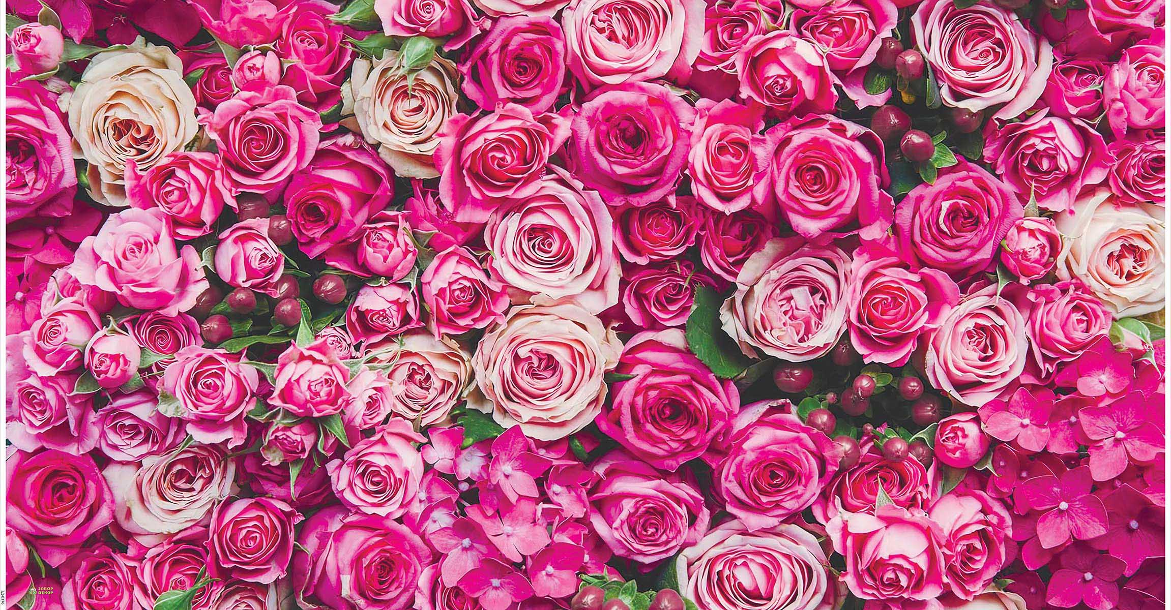 Фон розочки. Цветочный фон. Розы фон. Розовые цветы. Розовые розы.