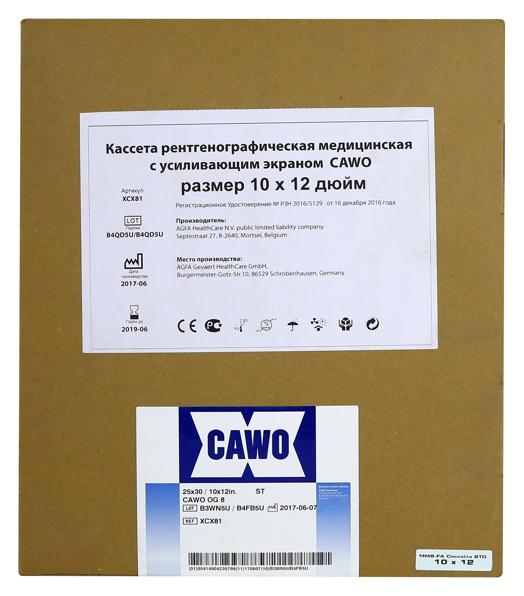 

Кассета 25 х 30 с экраном OG-8 (класс 400)