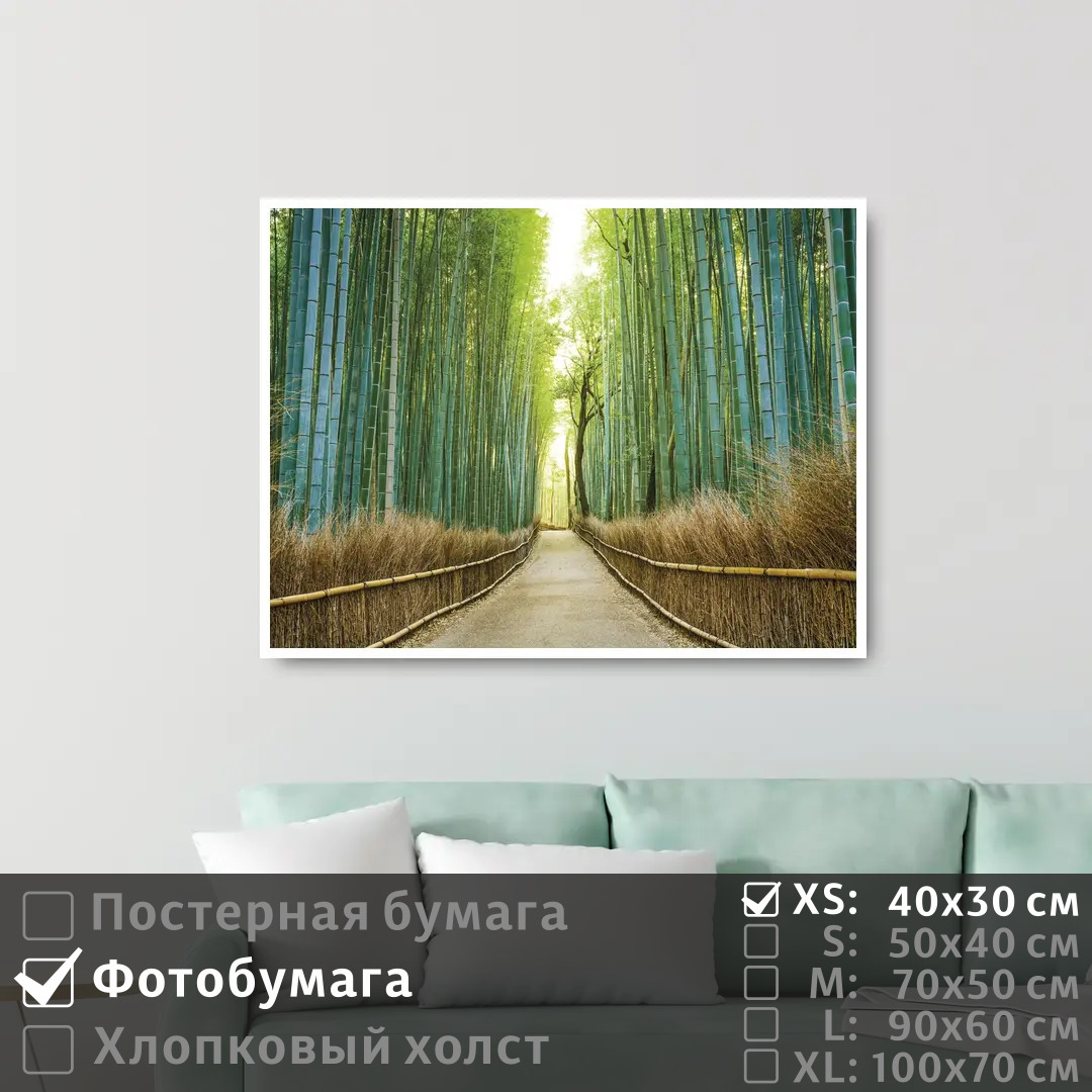 

Постер на фотобумаге ПолиЦентр Бамбуковый лес в японии 40х30 см, БамбуковыйЛесВЯпонии