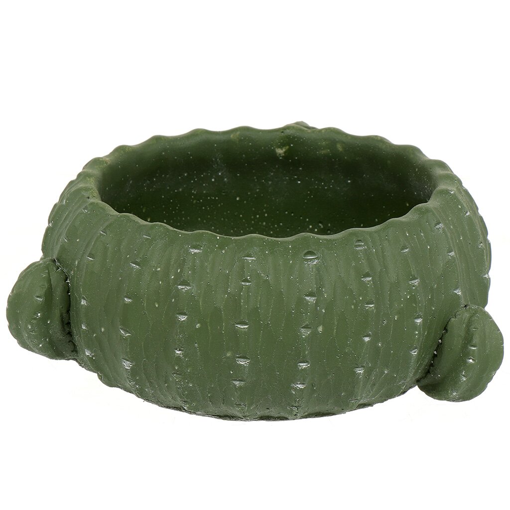 

Кашпо керамика, Кактус, Y4-30791, 2 л, 16х9х9 см, Зеленый, Кактус