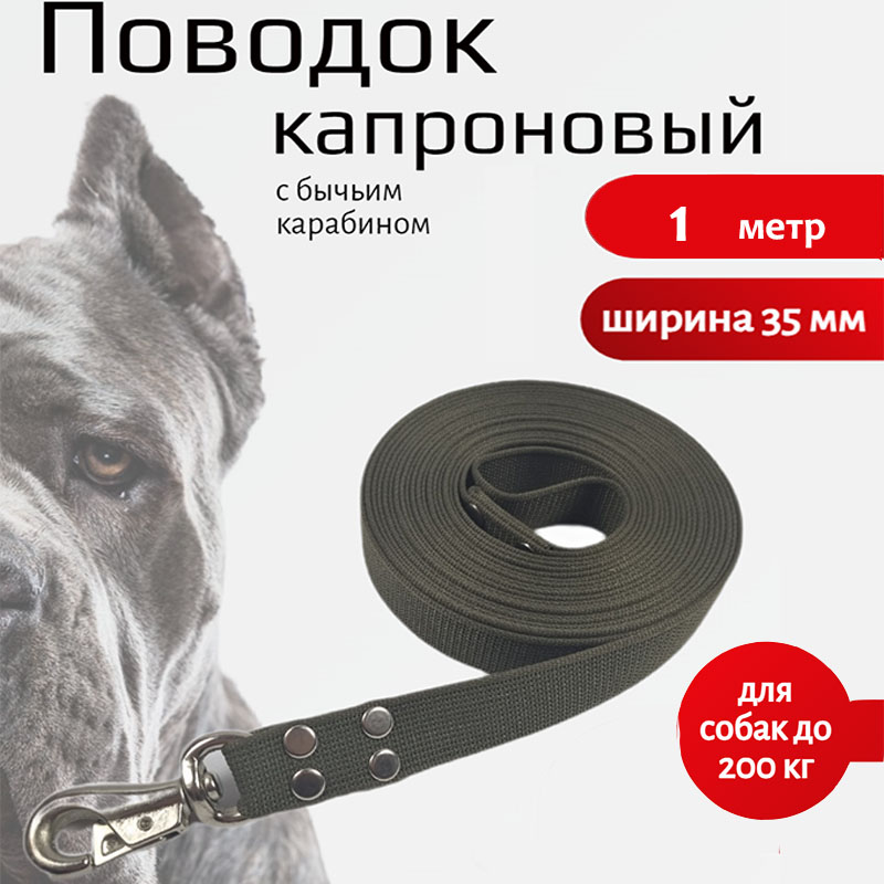 

Поводок для собак Хвостатыч с усиленным карабином,капрон,зеленый 1 м х 35 мм