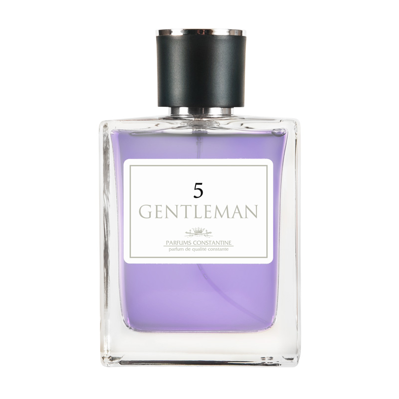 фото Мужская туалетная вода parfums constantine gentleman №5 100 мл