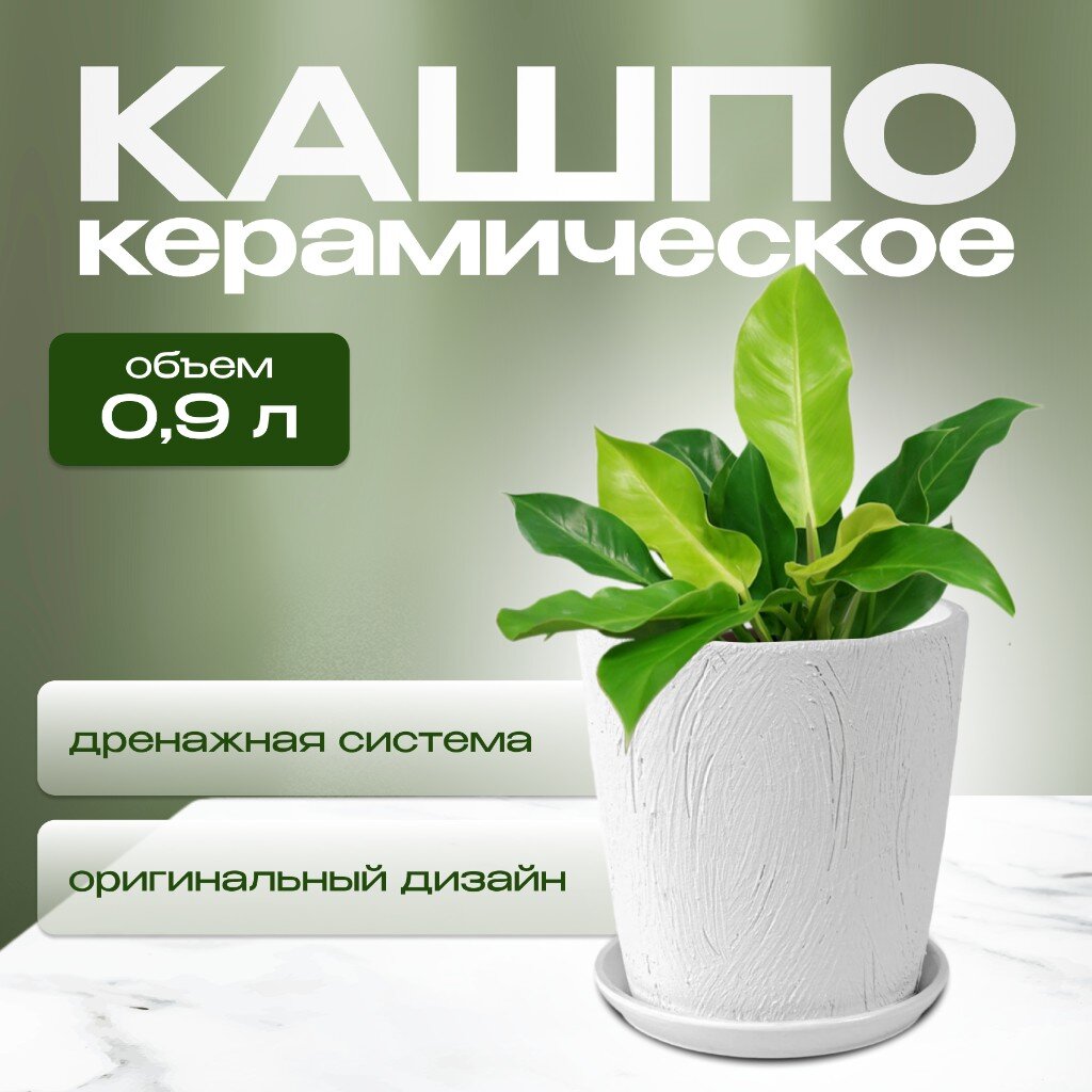 

Кашпо керамика, Короед 2, 004043, 0.9 л, 12х12 см, трапеция, белое, Белый, Короед 2