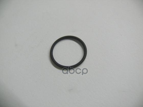 Уплотнительное Кольцо Vag N 91020001 VAG арт. N 91020001