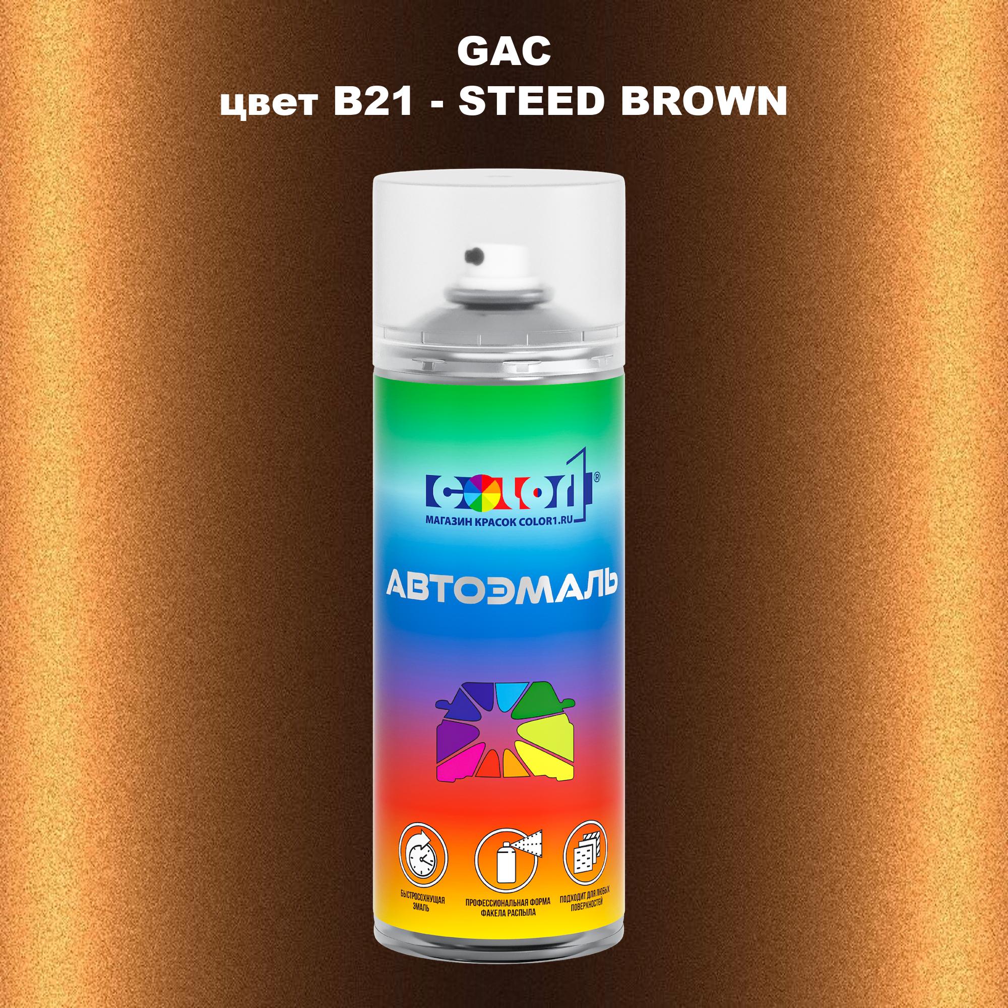 

Аэрозольная краска COLOR1 для GAC, цвет B21 - STEED BROWN, Прозрачный