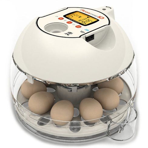 Инкубатор автоматический Rcom 10 Pro на 10 яиц