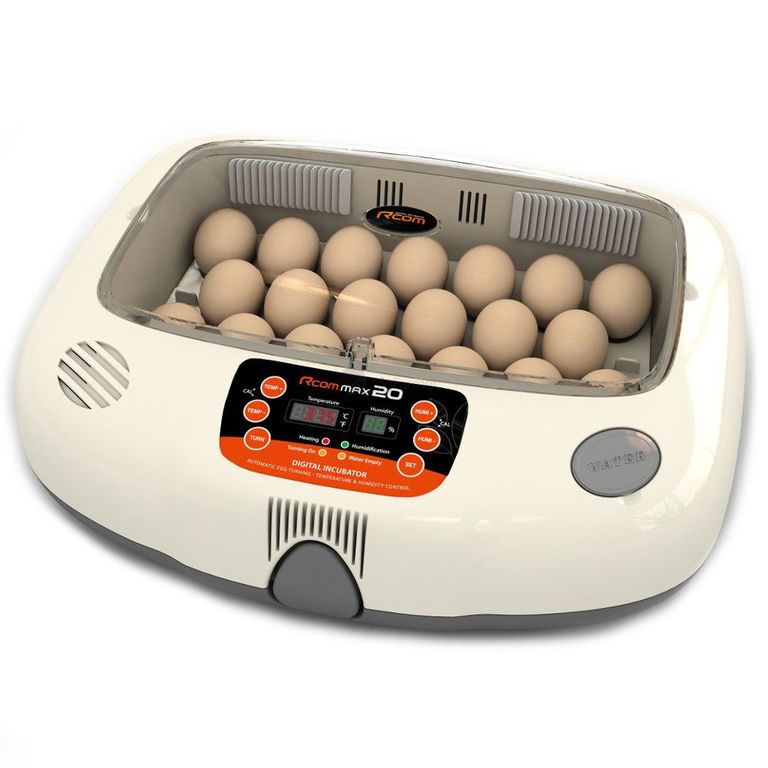 Инкубатор автоматический Rcom 20 MAX на 20 яиц