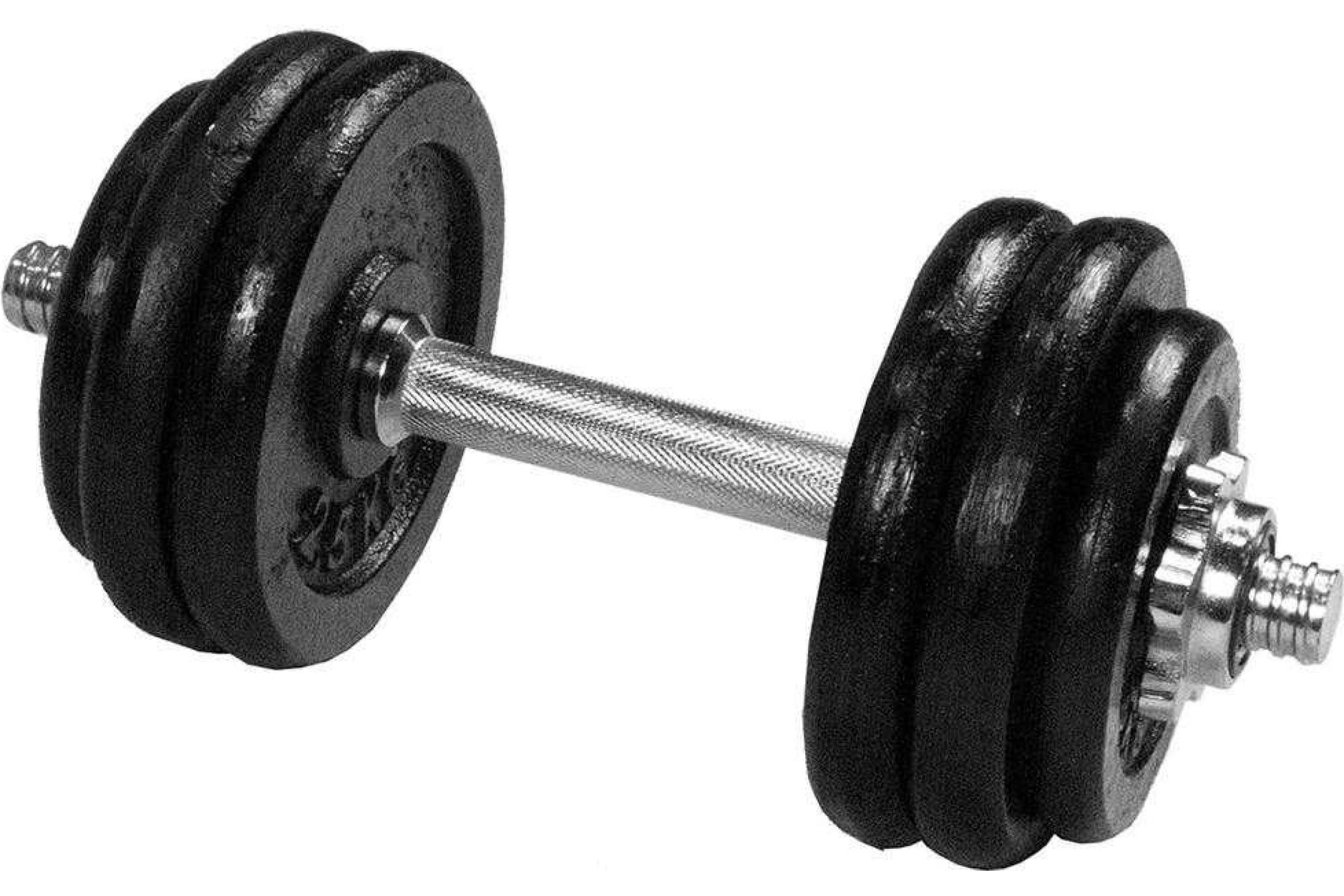 

Разборные гантели Atemi AADS 2 x 7,5 кг, черный, AADS