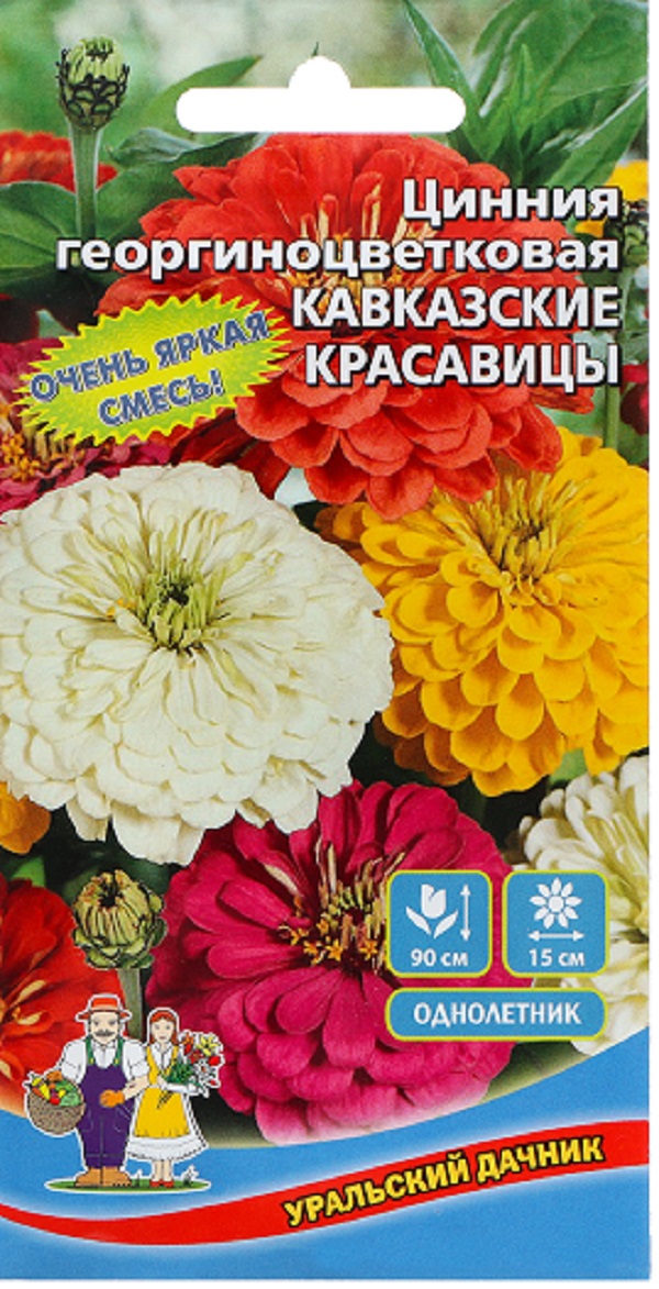 

Цинния Цинния Кавказские красавицы георгиноцв. (Урал. Дачник)