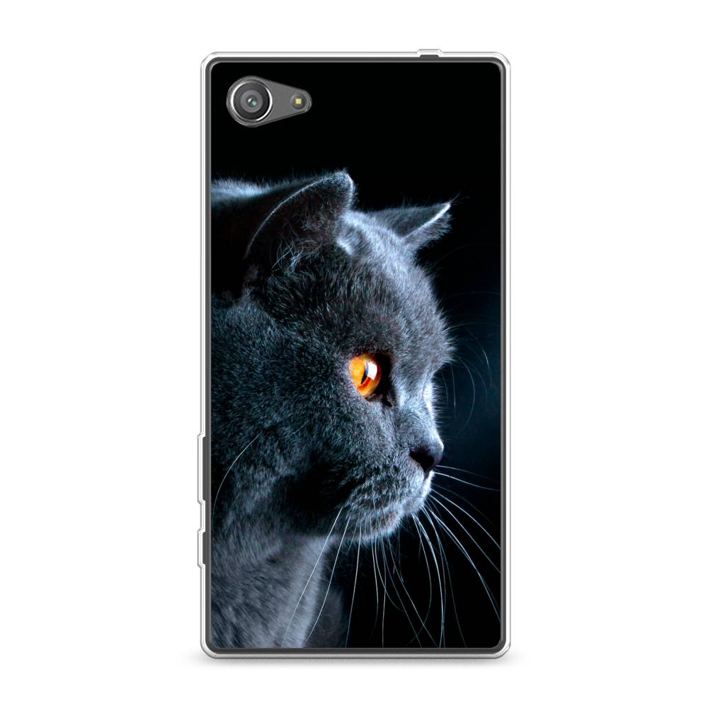 

Чехол Awog на Sony Xperia Z5 compact "Благородный кот британец", Разноцветный, 52250-2