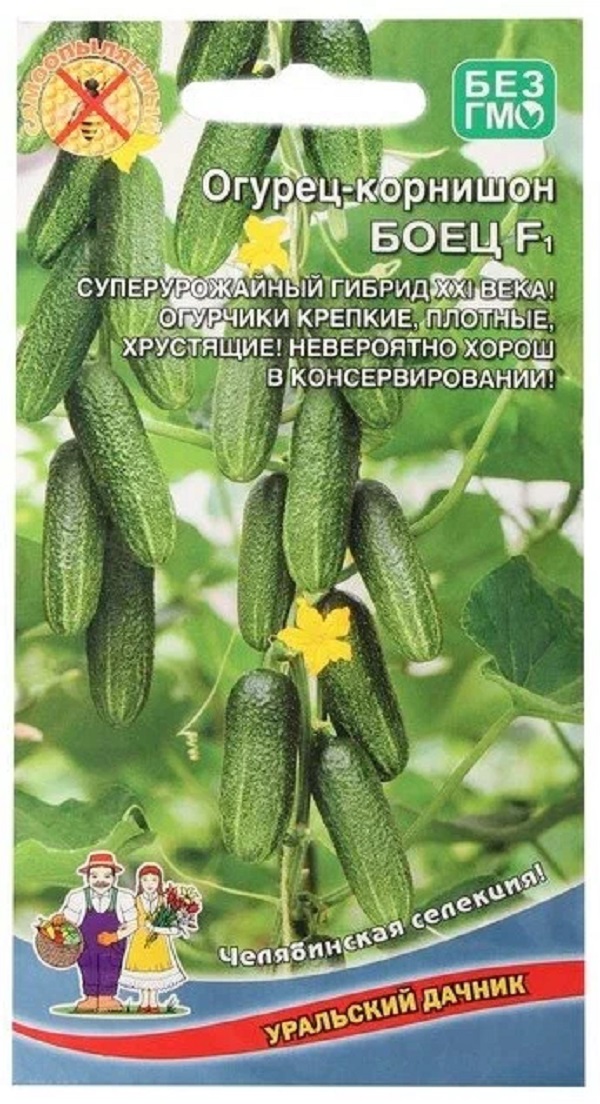 

Семена огурец Боец корнишон F1 Уральский Дачник 95525 1 уп., Огурцы Боец корнишон F1 (Урал. Дачник)